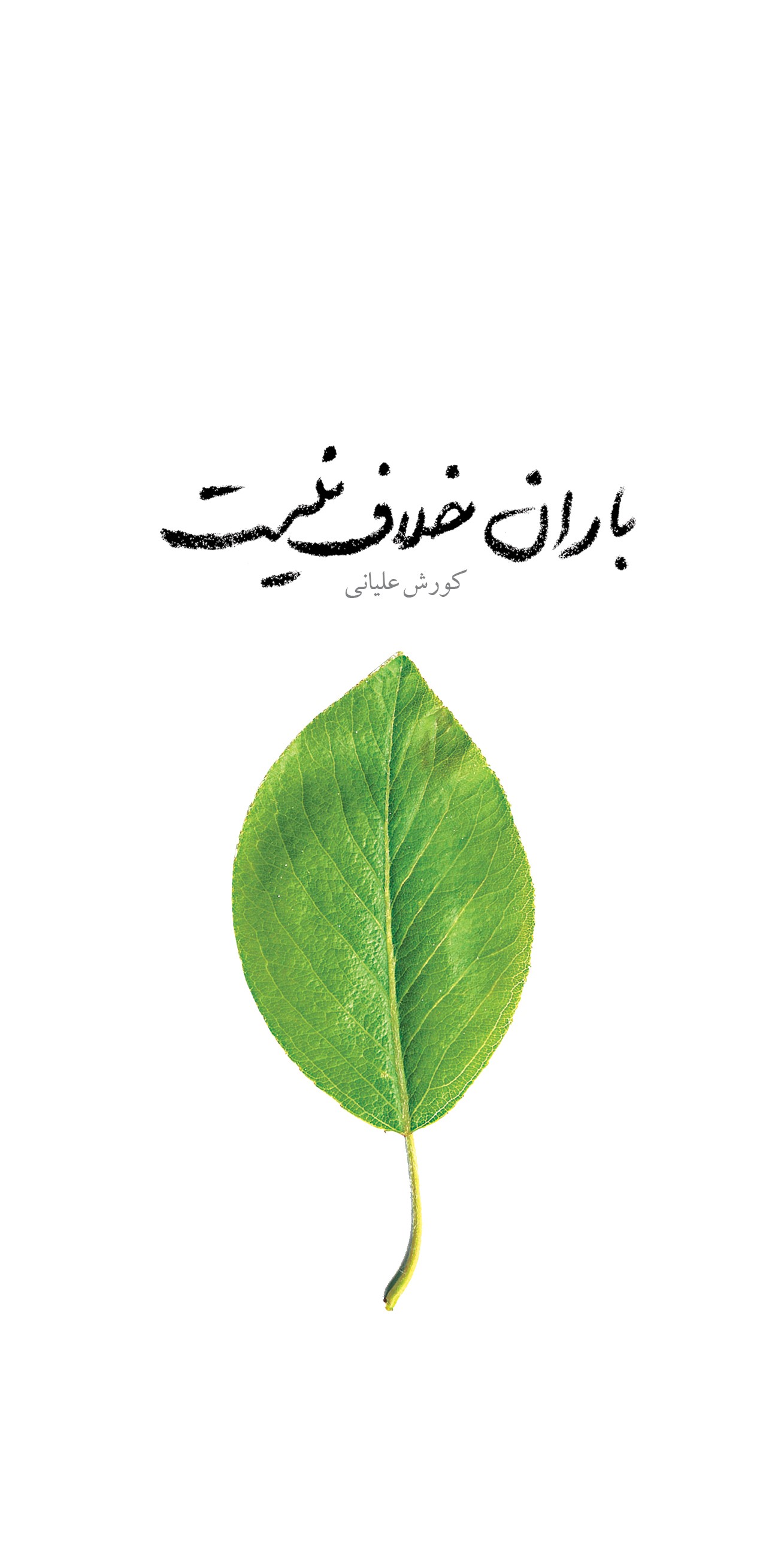 پایانه - باران خلاف نیست