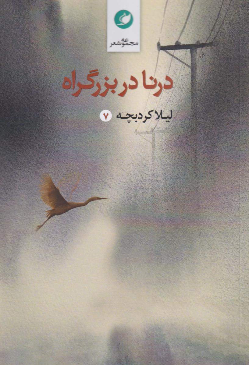 پایانه - درنا دربزرگراه