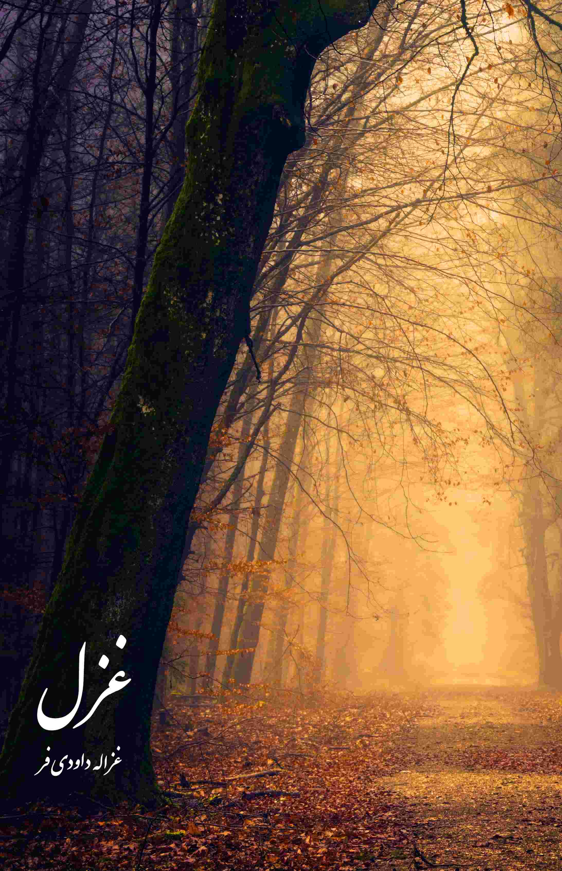 پایانه - غزل