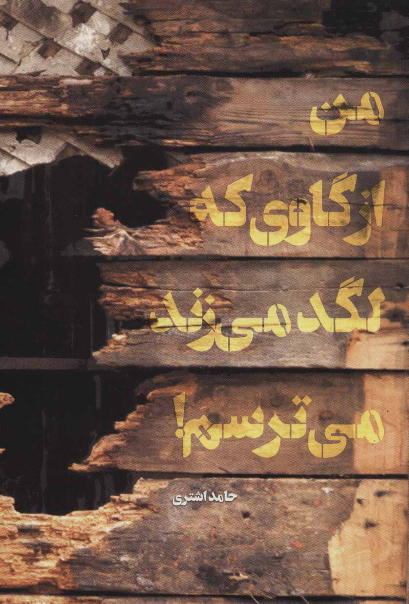 پایانه - من از گاوی که لگد می زند می ترسم!