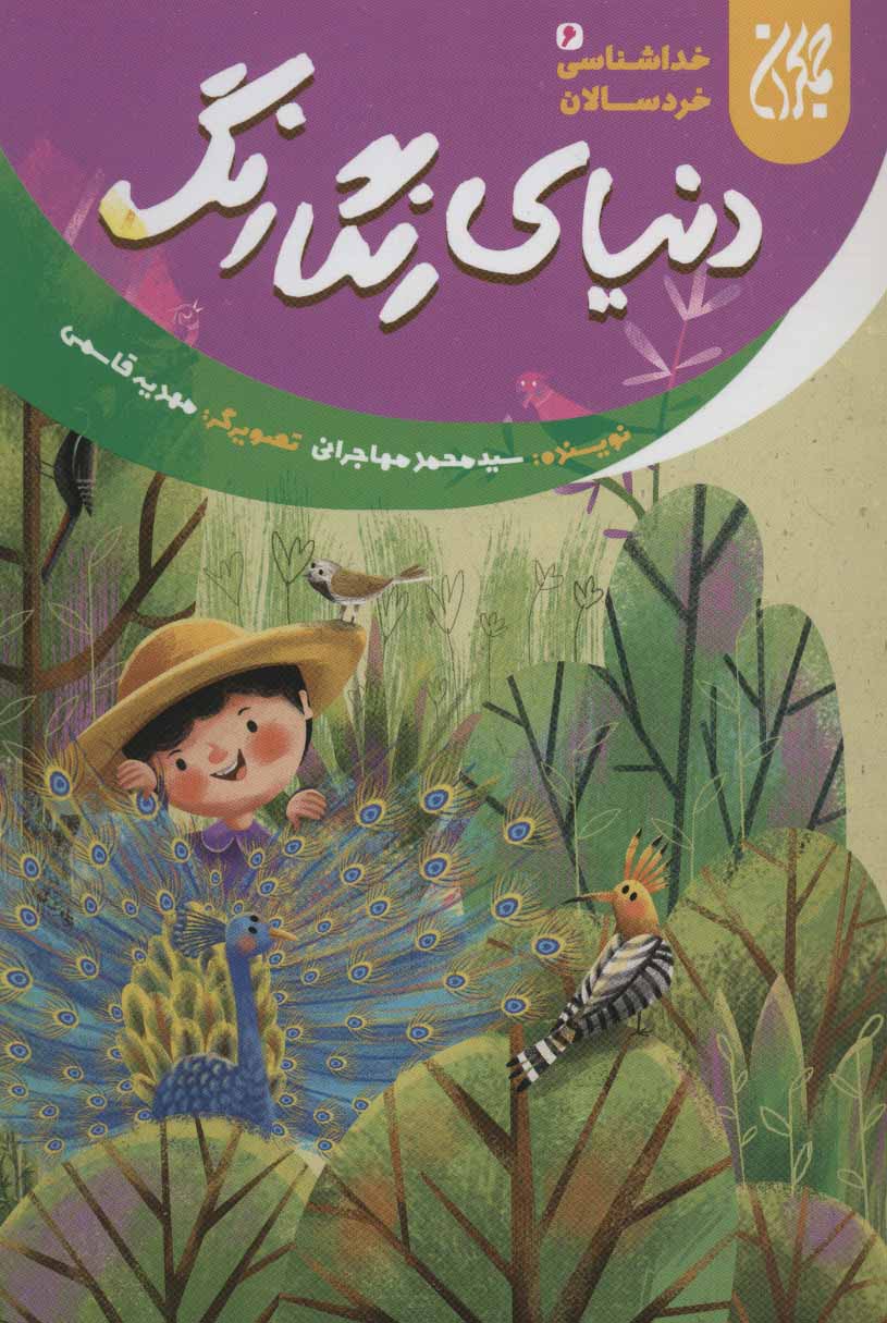 پایانه - دنیای رنگارنگ