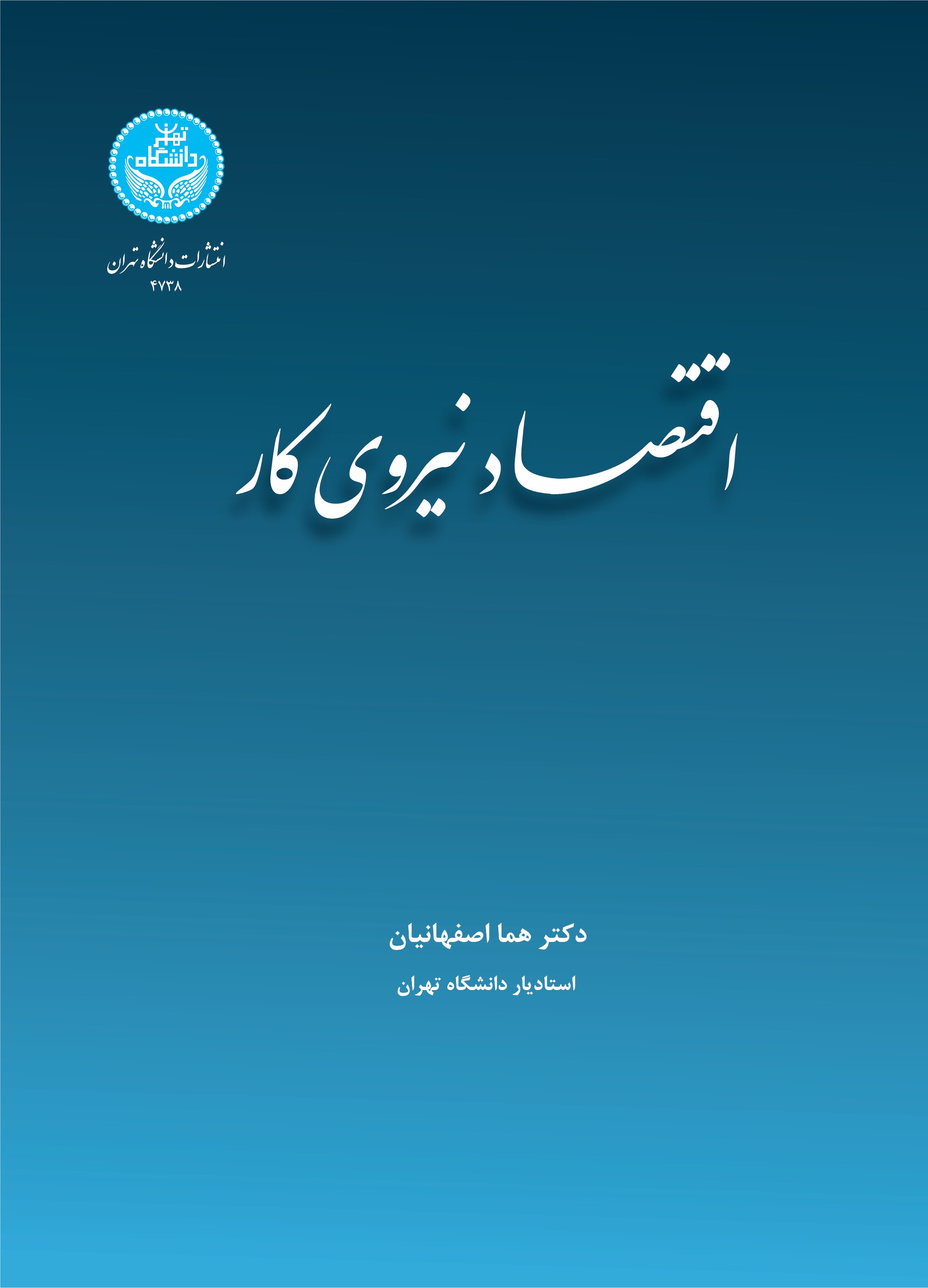 پایانه - اقتصاد نیروی کار