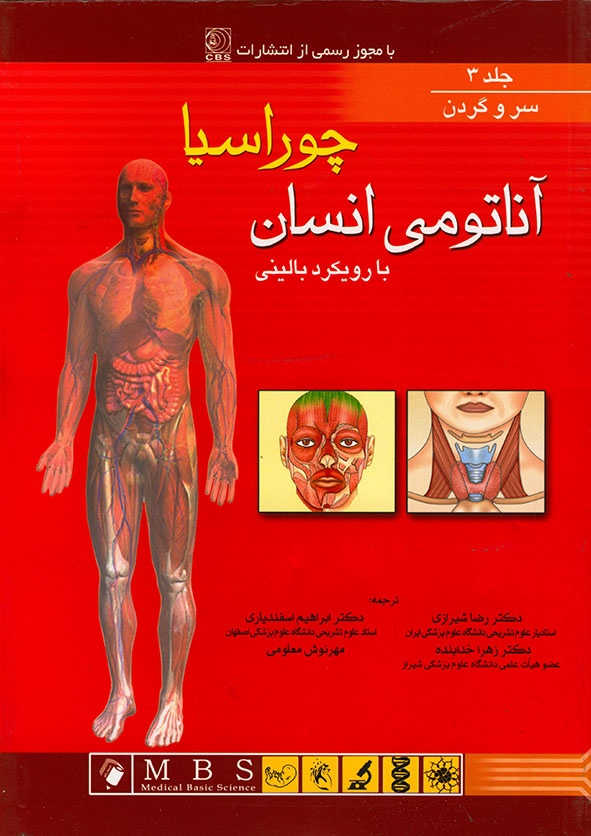 پایانه - آناتومی انسان چوراسیا