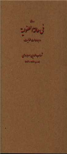 پایانه - فی حاله الطفولیه