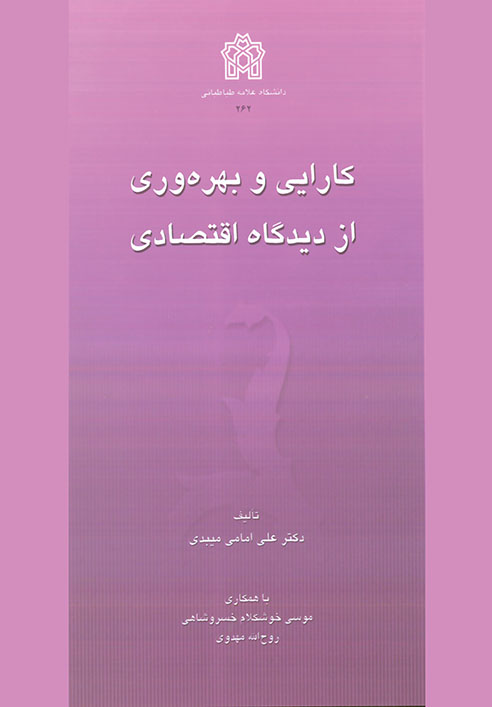 پایانه - کارایی و بهره وری از دیدگاه اقتصادی