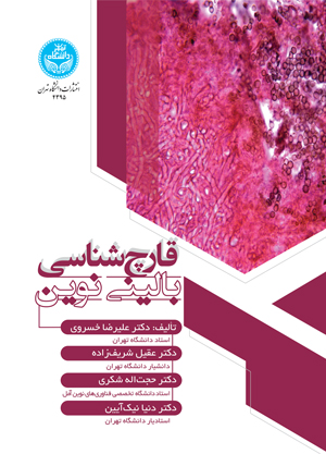 پایانه - قارچ شناسی بالینی نوین