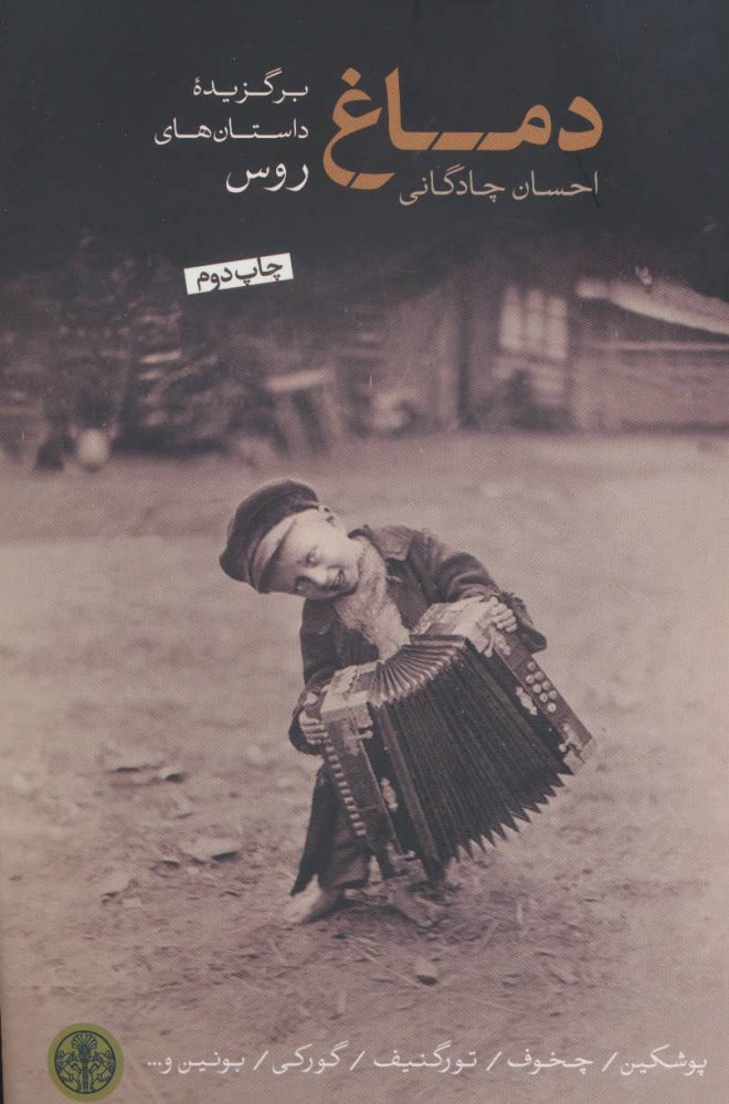 پایانه - دماغ