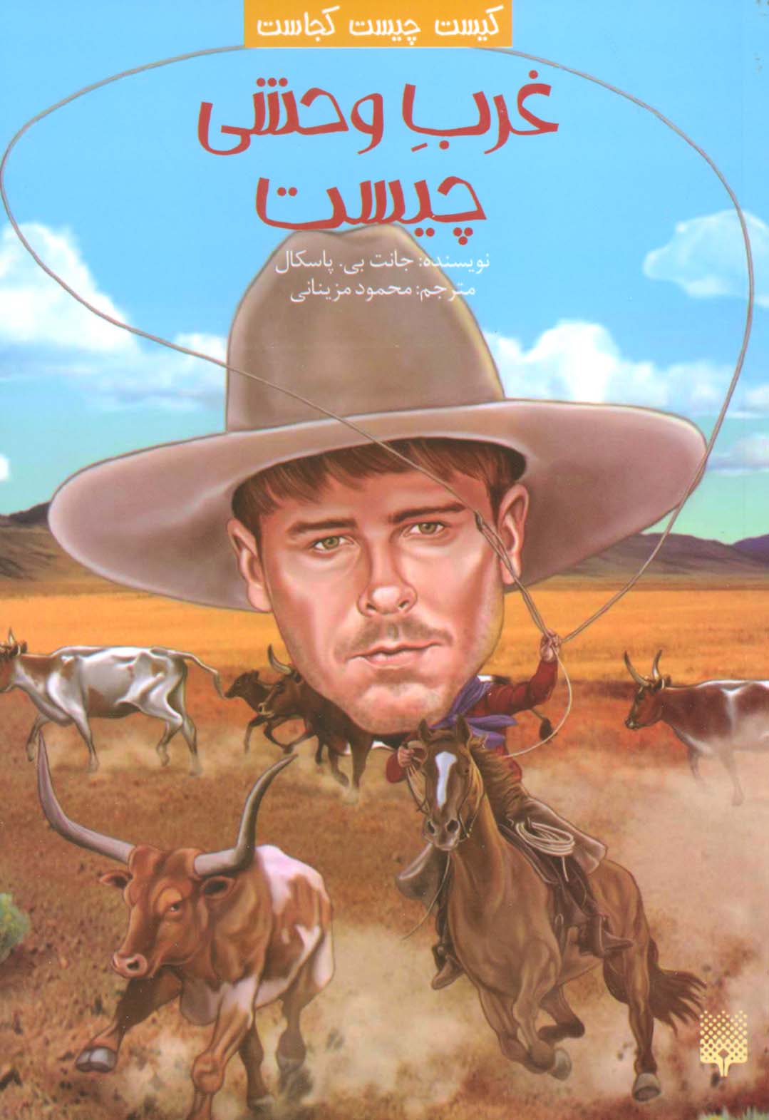 پایانه - غرب وحشی چیست؟