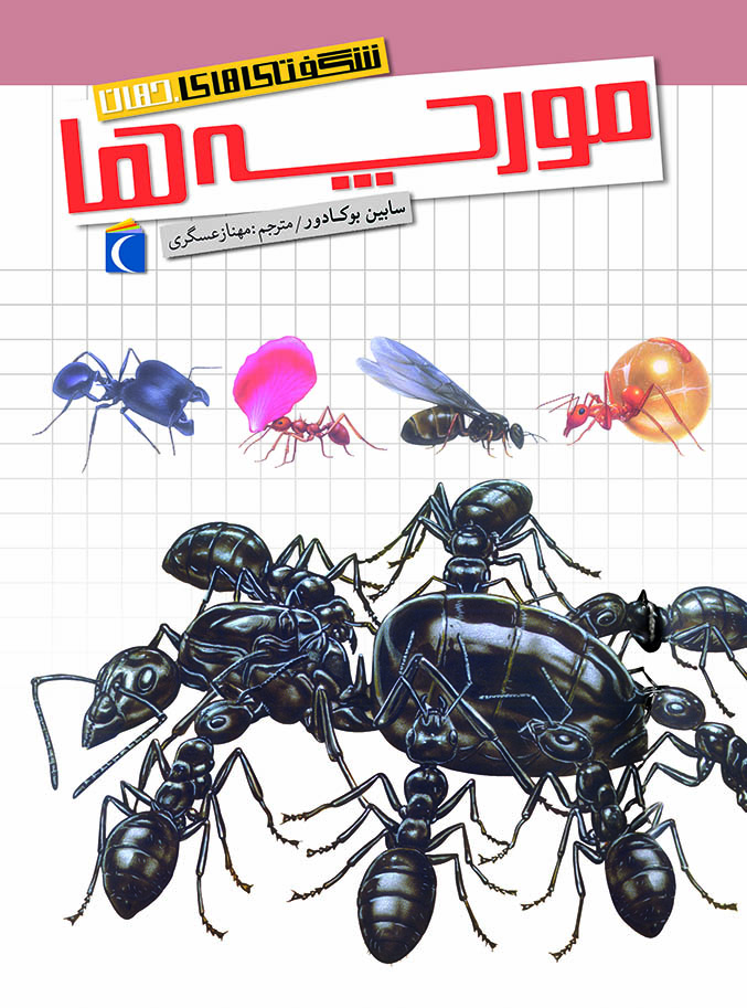 پایانه - مورچه‌ها