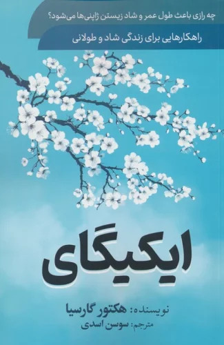 پایانه - ایکیگای