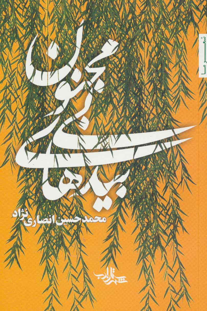 پایانه - بیدهای بی مجنون