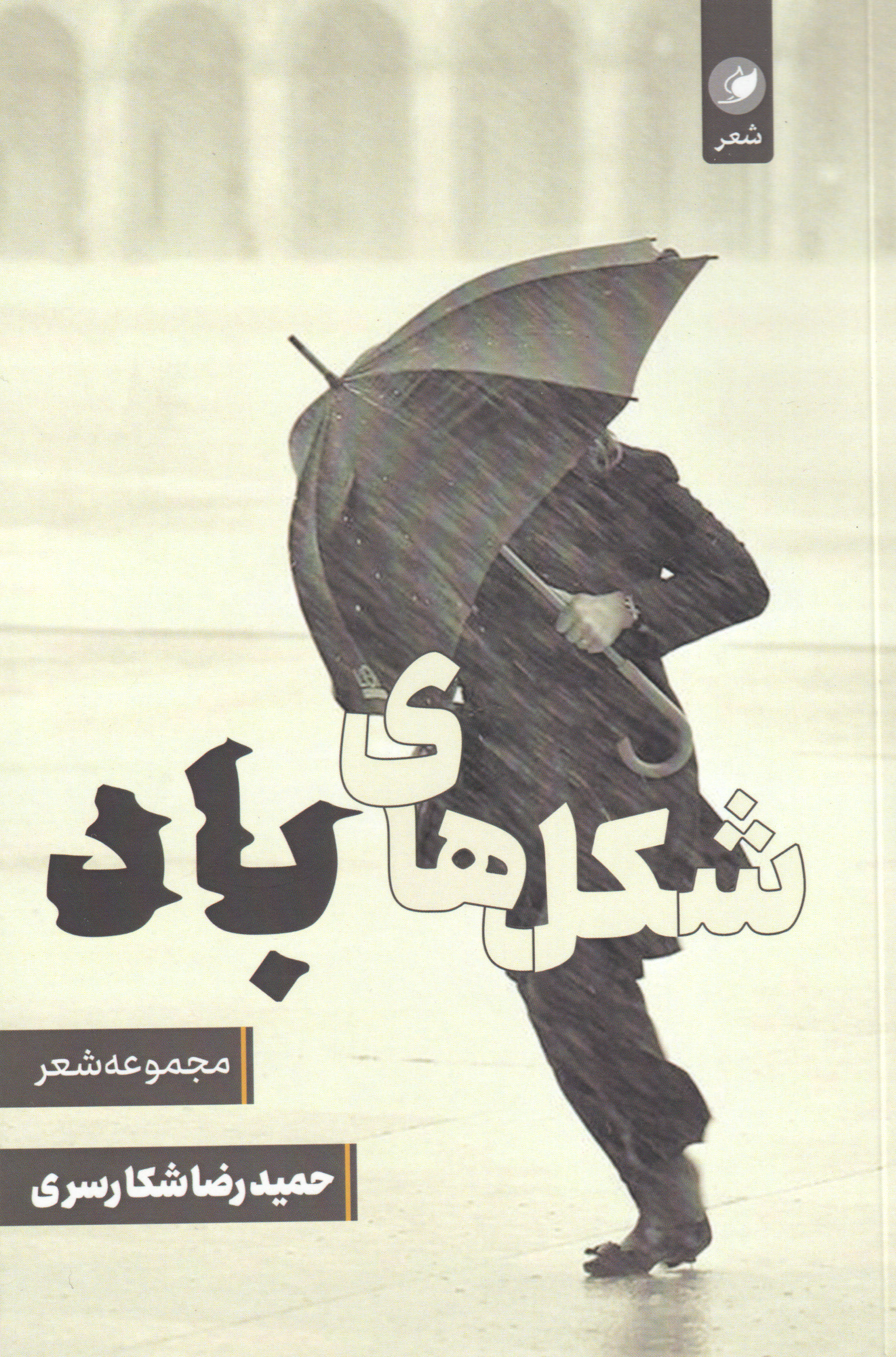 پایانه - شکل های باد