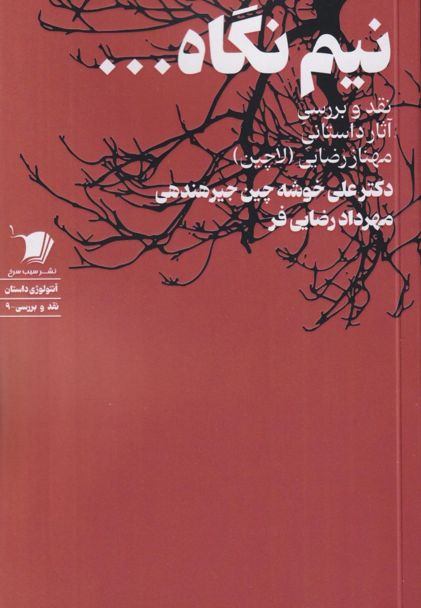 پایانه - نیم نگاه ...