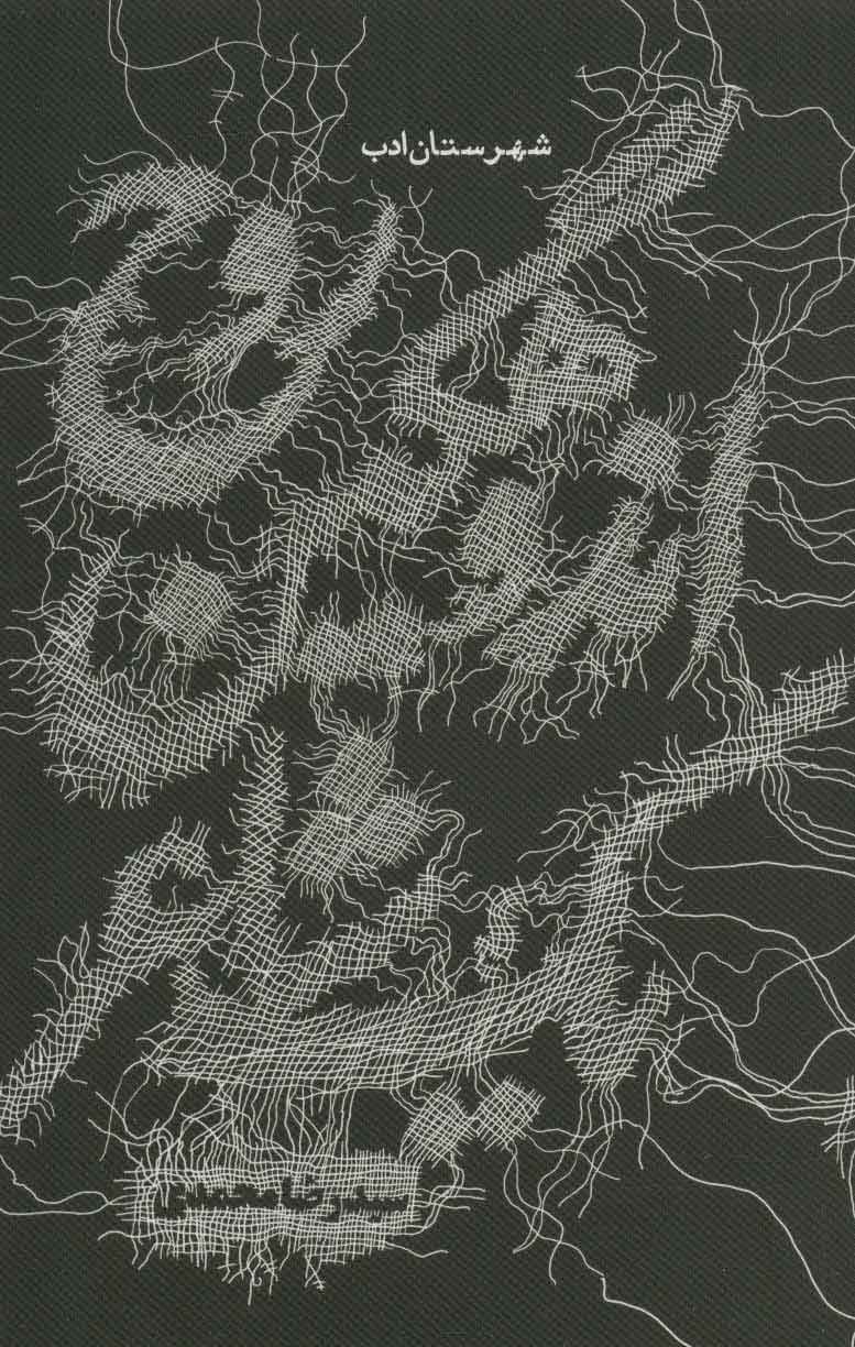 پایانه - روح اندوهگین یک شاعر