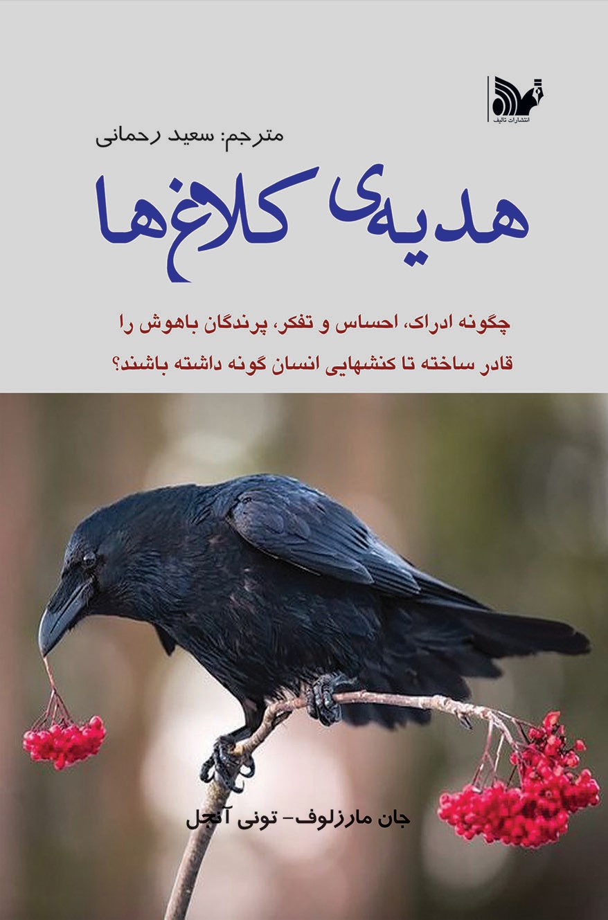 پایانه - هدیه ی کلاغ ها