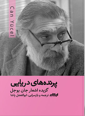 پایانه - پرنده های دریایی