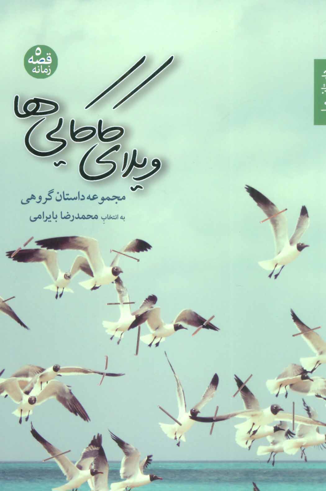 پایانه - ویلای کاکایی ها