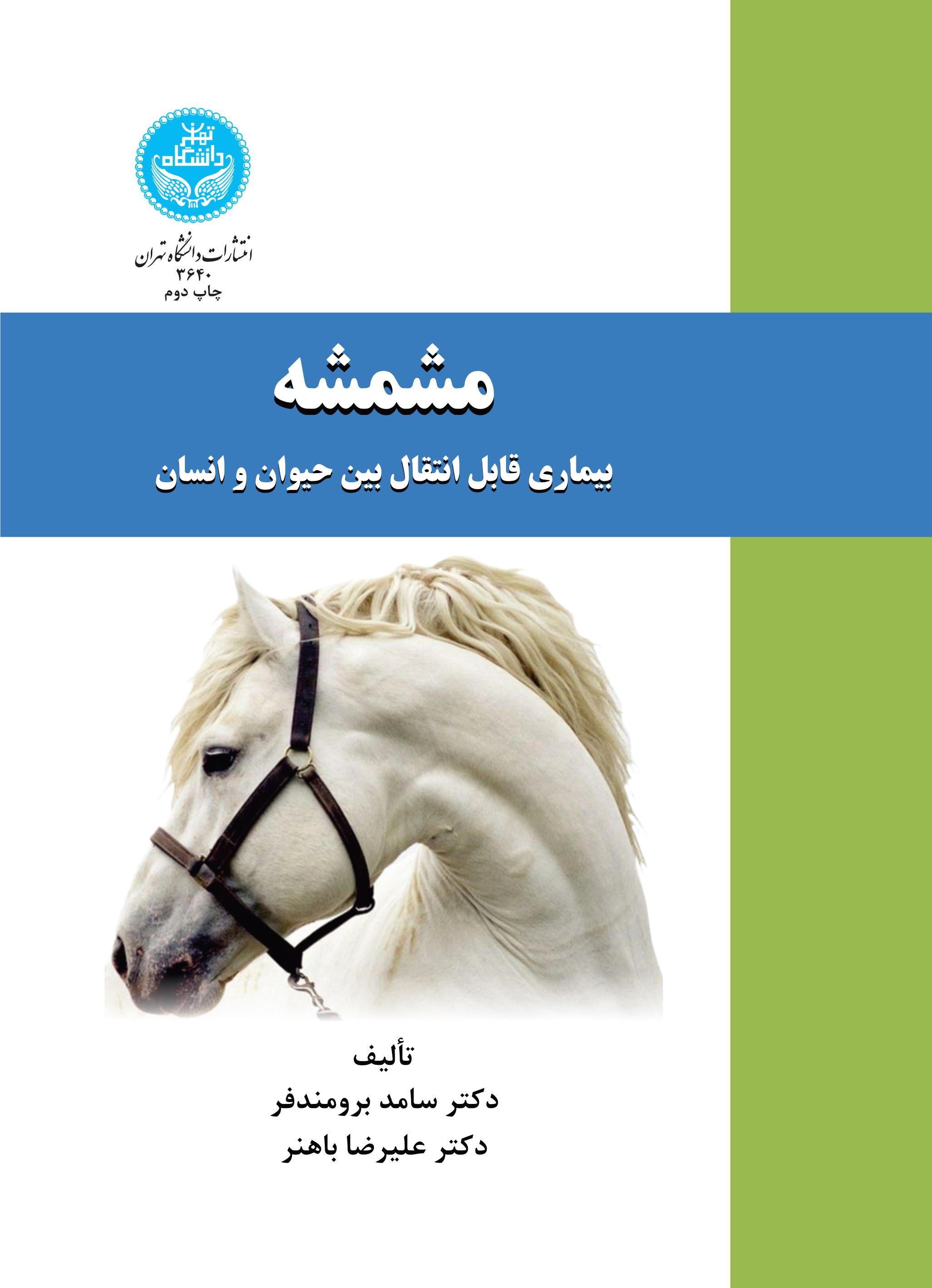 پایانه - مشمشه