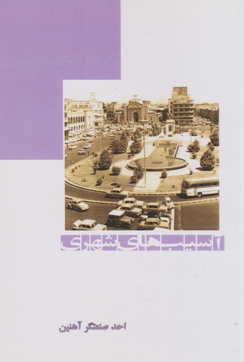 پایانه - آسیب های شهری