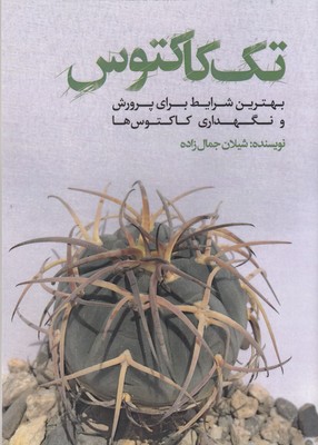 پایانه - تک کاکتوس