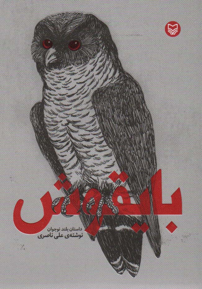 پایانه - بایقوش