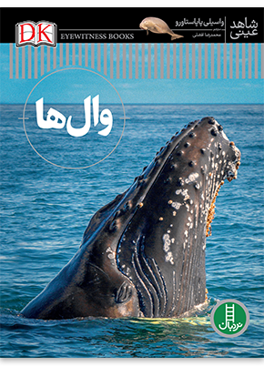 پایانه - وال ها