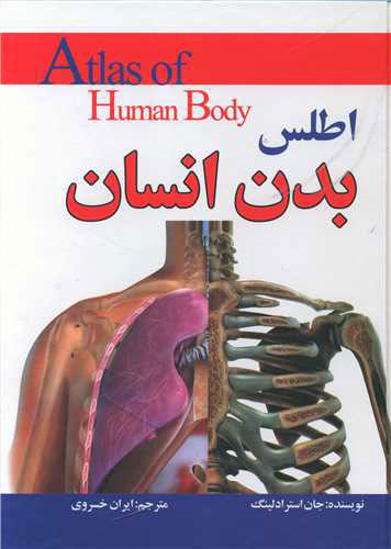 پایانه - اطلس بدن انسان