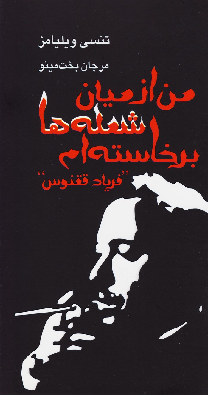 پایانه - من از میان شعله ها برخاسته ام