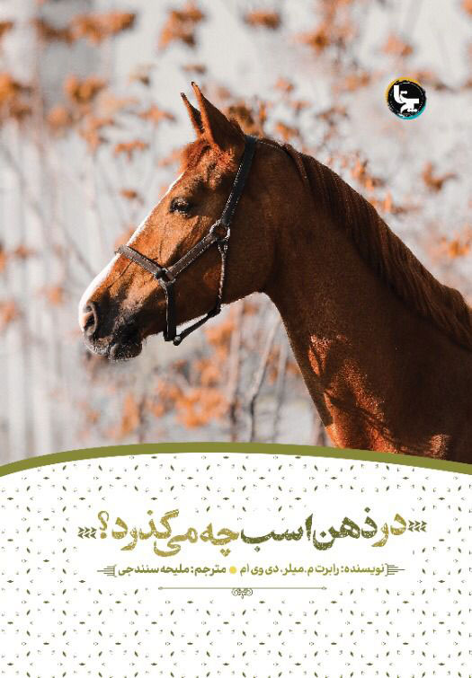 پایانه - در ذهن اسب چه می گذرد ؟