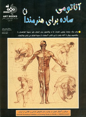 پایانه - آناتومی ساده برای هنرمندان