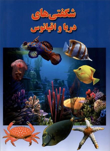 پایانه - شگفتی های دریا و اقیانوس