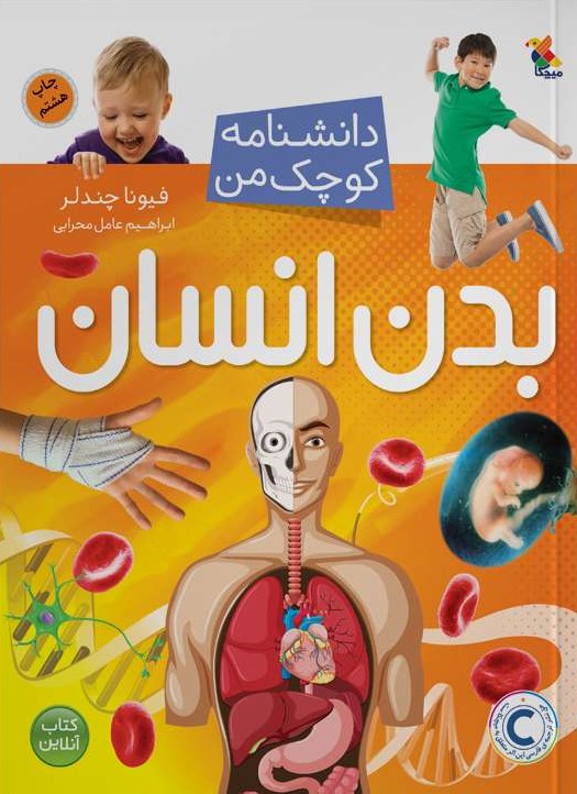 پایانه - بدن انسان