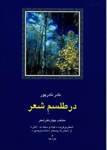 پایانه - در طلسم شعر