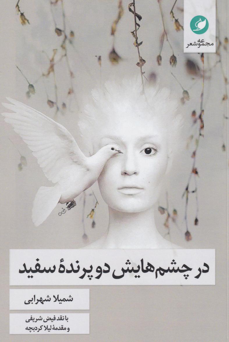پایانه - در چشم هایش دو پرنده سفید