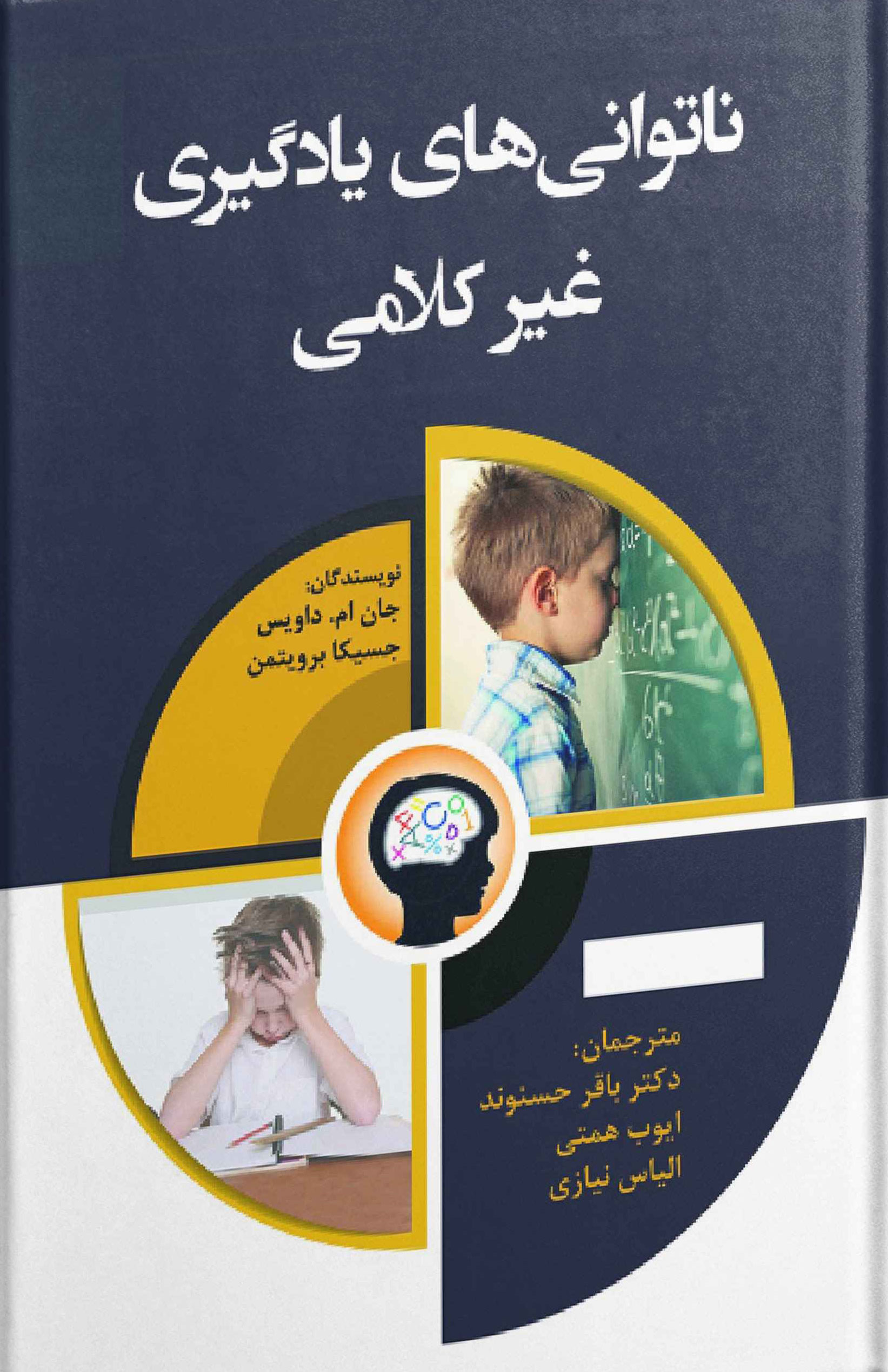 پایانه - ناتوانی های یادگیری غیر کلامی