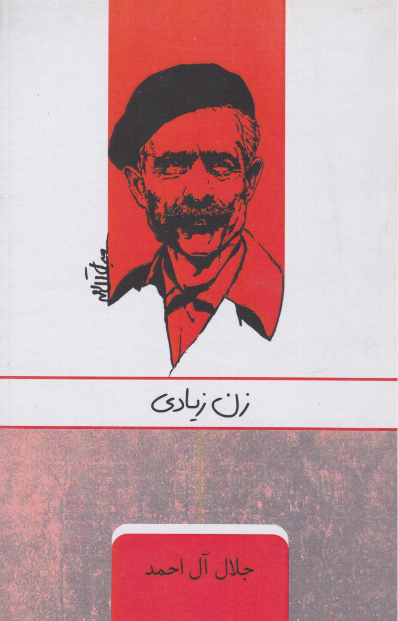 پایانه - زن زیادی