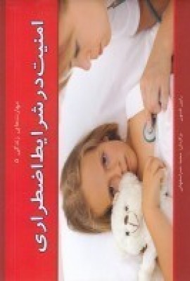 پایانه - امنیت در شرایط اضطراری