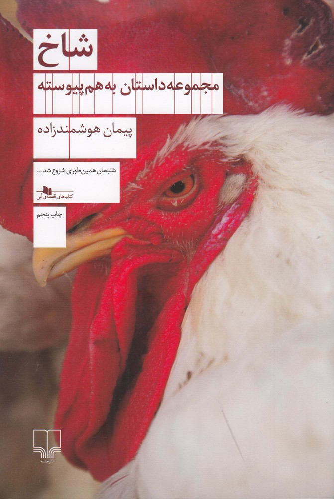 پایانه - شاخ