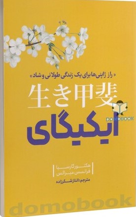 پایانه - ایکیگای