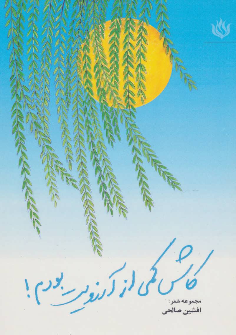 پایانه - کاش کمی از آرزویت بودم!