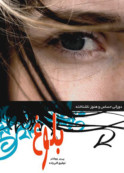 پایانه - بلوغ