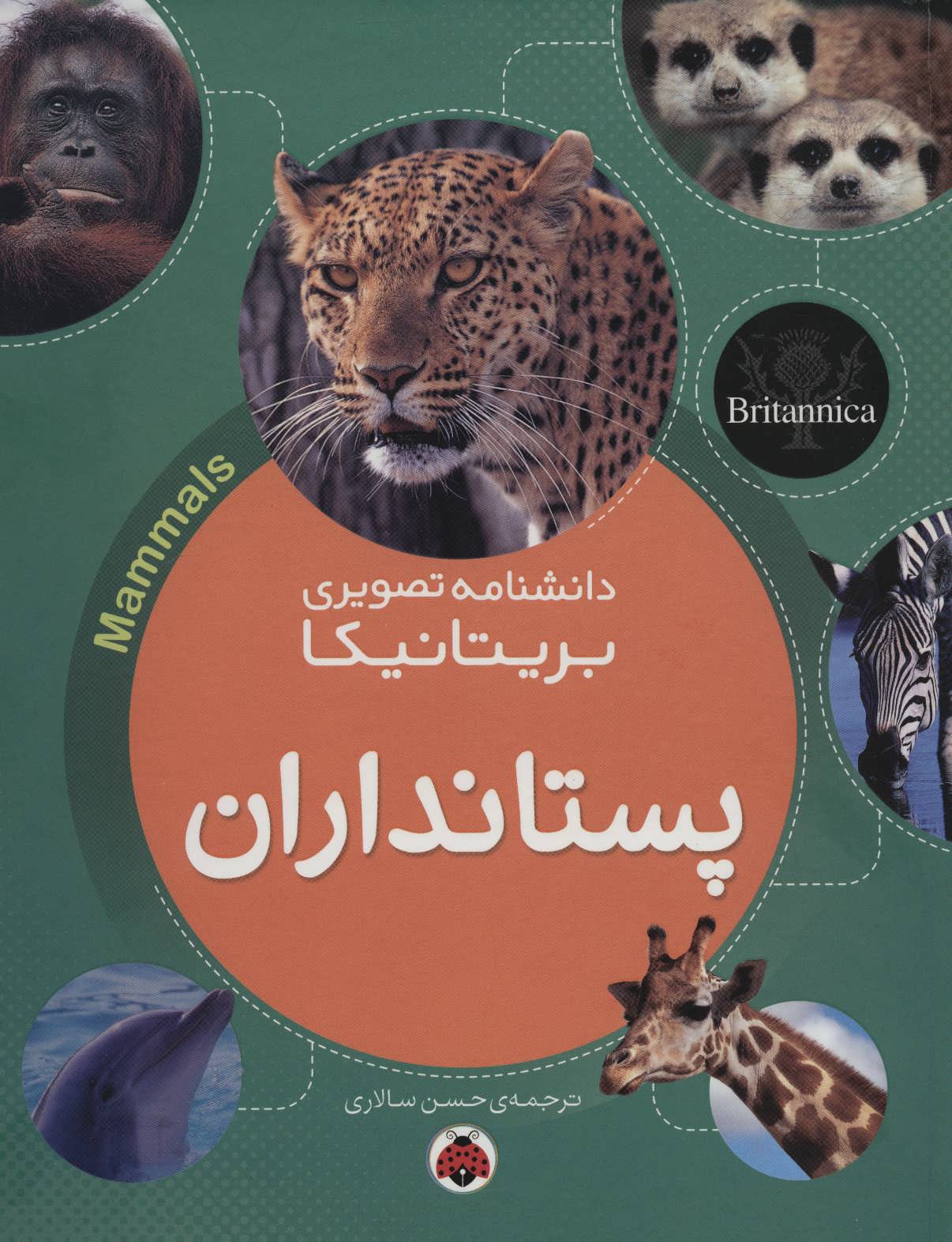 پایانه - پستانداران