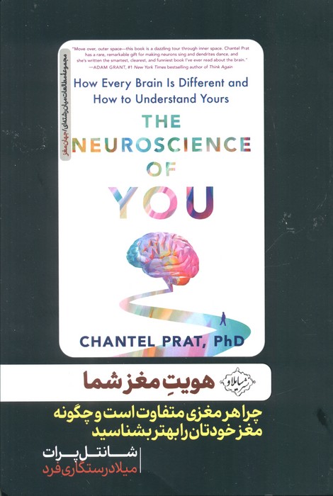 پایانه - هویت مغز شما