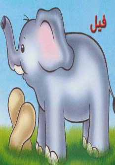پایانه - فیل