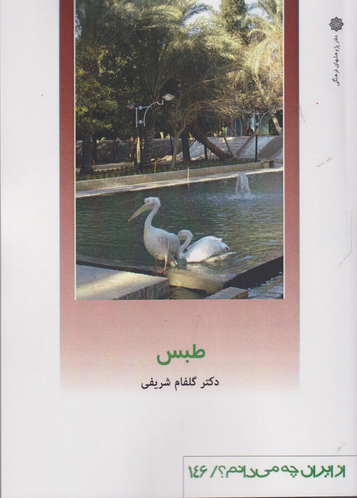 پایانه - طبس