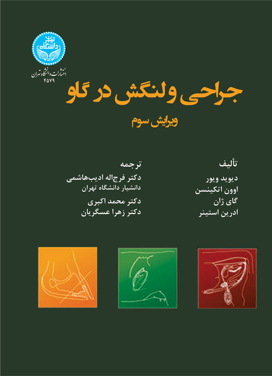 پایانه - جراحی و لنگش در گاو