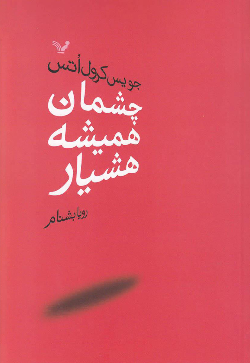 پایانه - چشمان همیشه هشیار