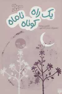 پایانه - یک راه کوتاه تا ماه