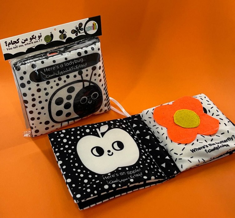 پایانه - تو بگو من کجام؟ (2زبانه)