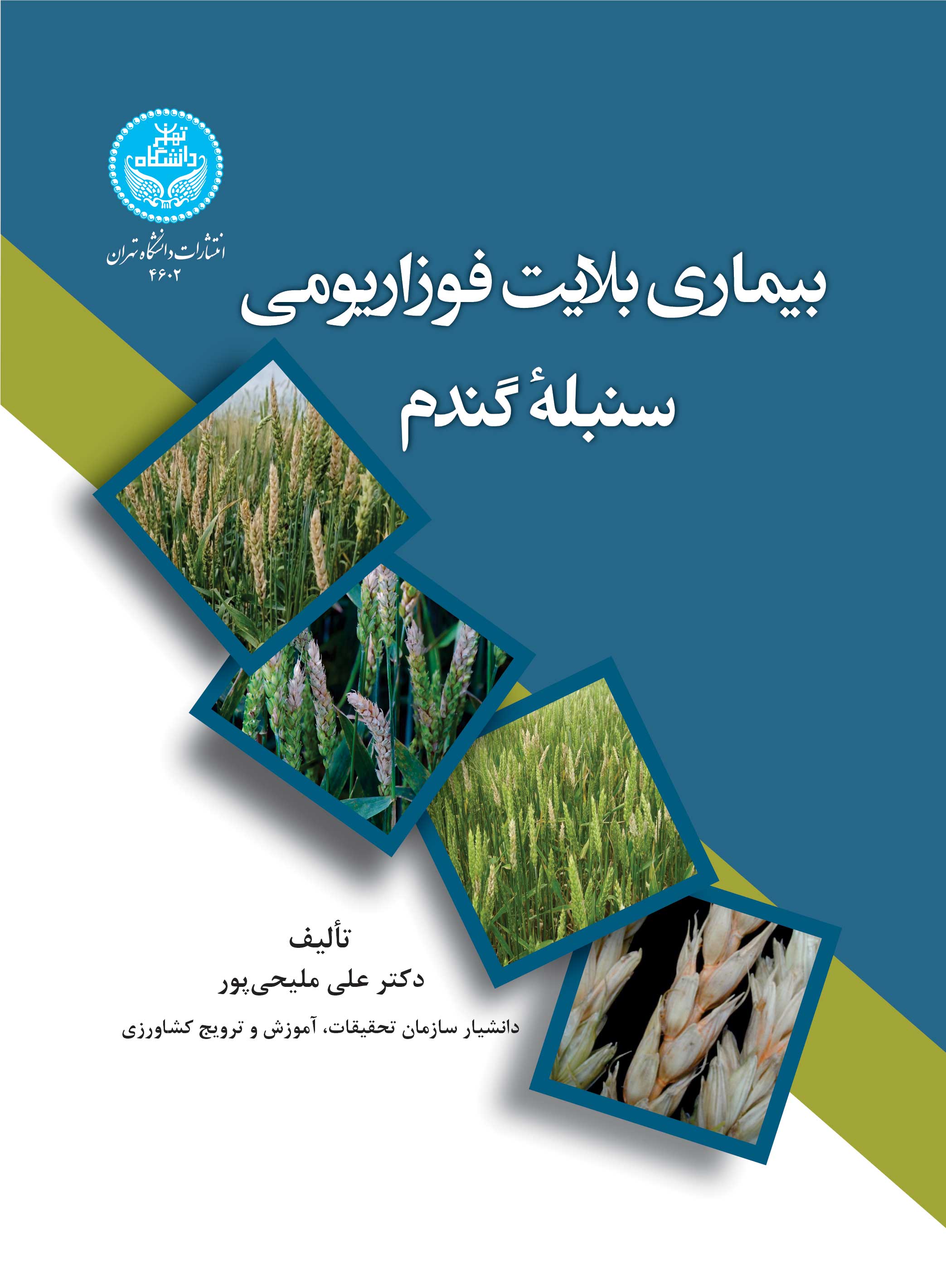 پایانه - بیماری بلایت فوزاریومی سنبله گندم